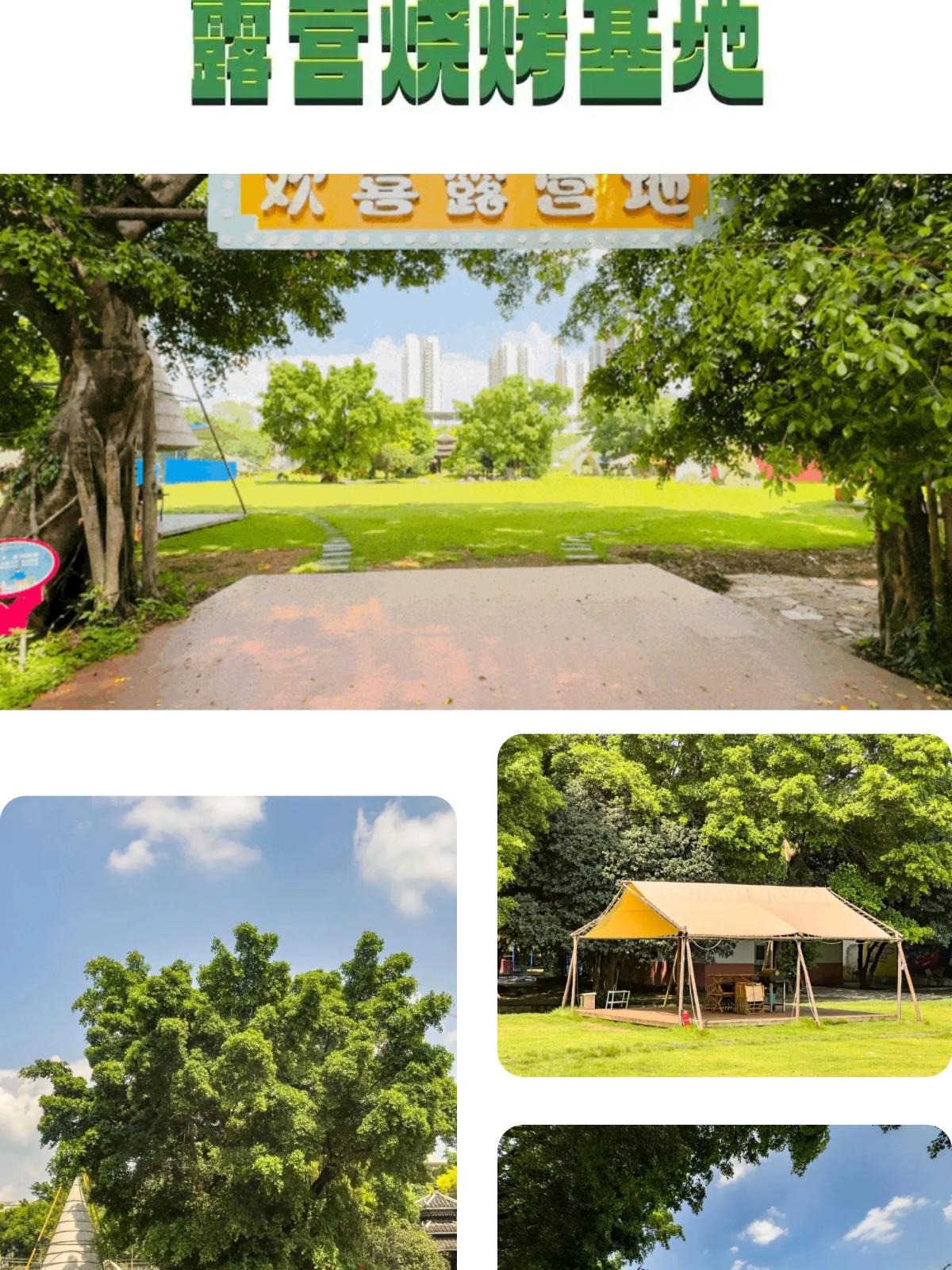 show_644989967_1756609425281_slice_10.jpg show_644989967_1756609425281_slice_10.jpg